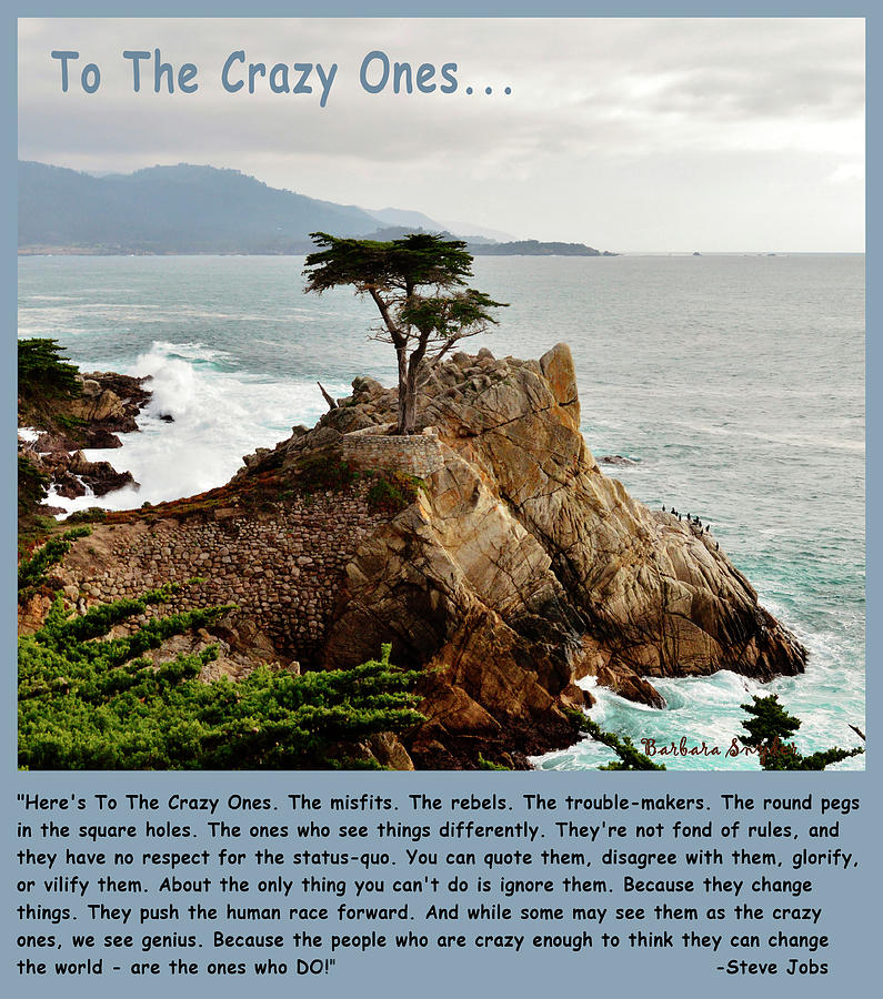 To The Crazy Ones Lone Cypress Photograph