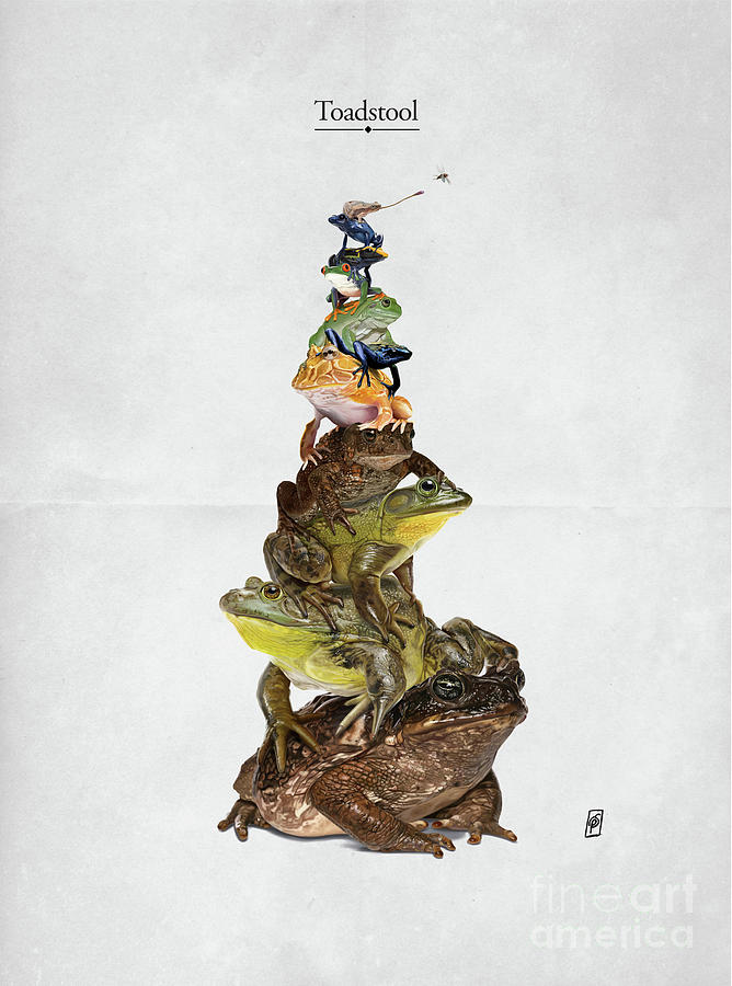 Toadstool #1 Digital Art by Rob Snow
