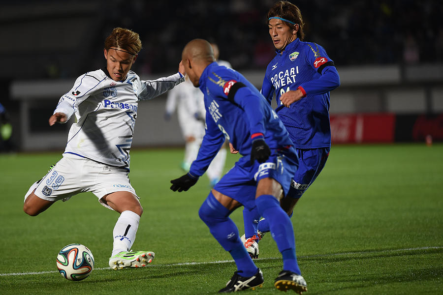 Tokushima Vortis v Gamba Osaka - J.League 2014 Photograph by Kaz Photography