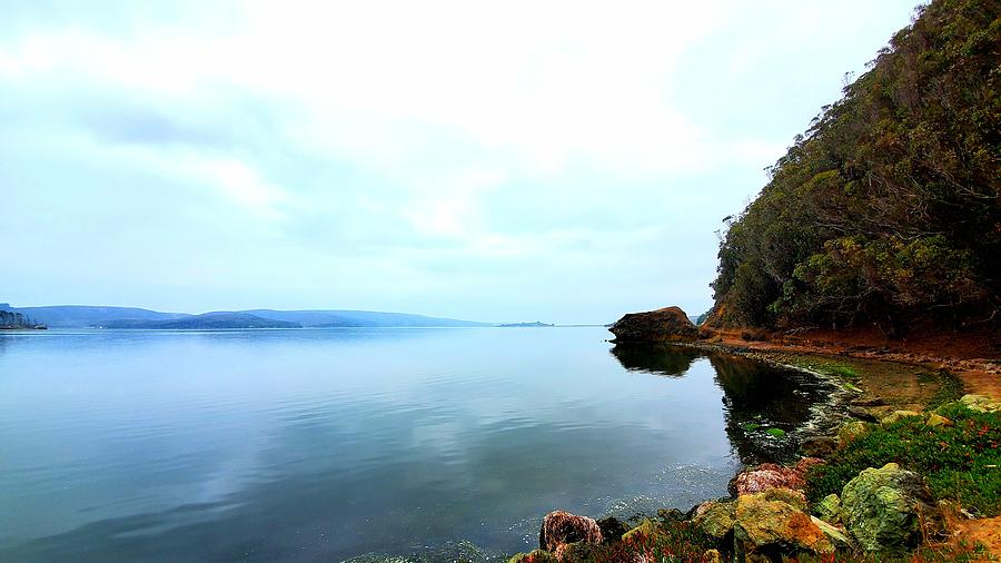 Tomales Bay, California #1 Photograph by Shane Pinto - Pixels