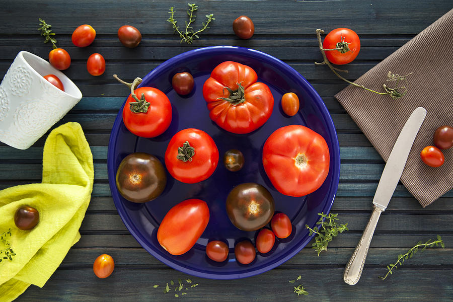 Tomato varieties #1 Photograph by Flavia Morlachetti
