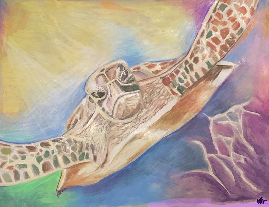 Tortuga Drawing by Kandice Madrid | Fine Art America