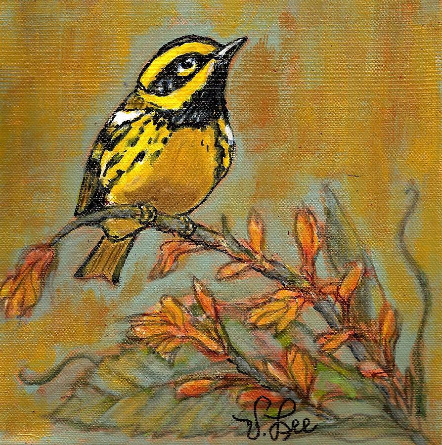 Townsend Warbler #1 Painting by VLee Watson