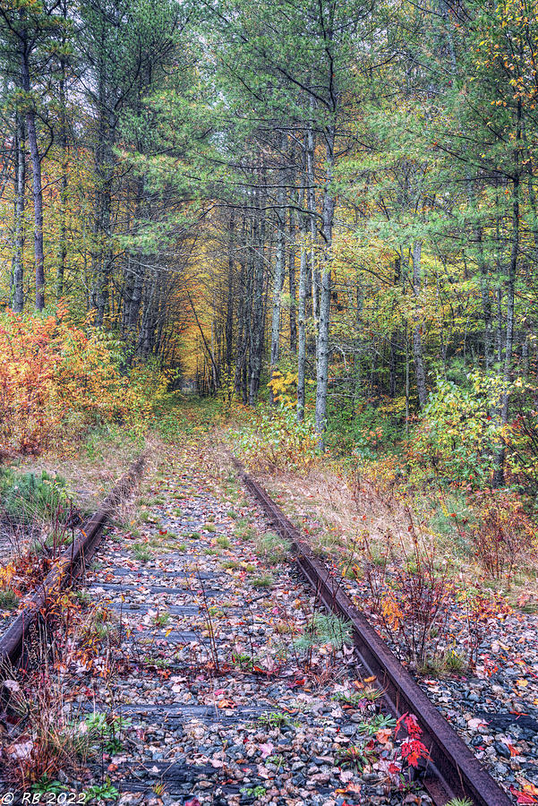 Track Trough Autumn #1 Photograph by Richard Bean