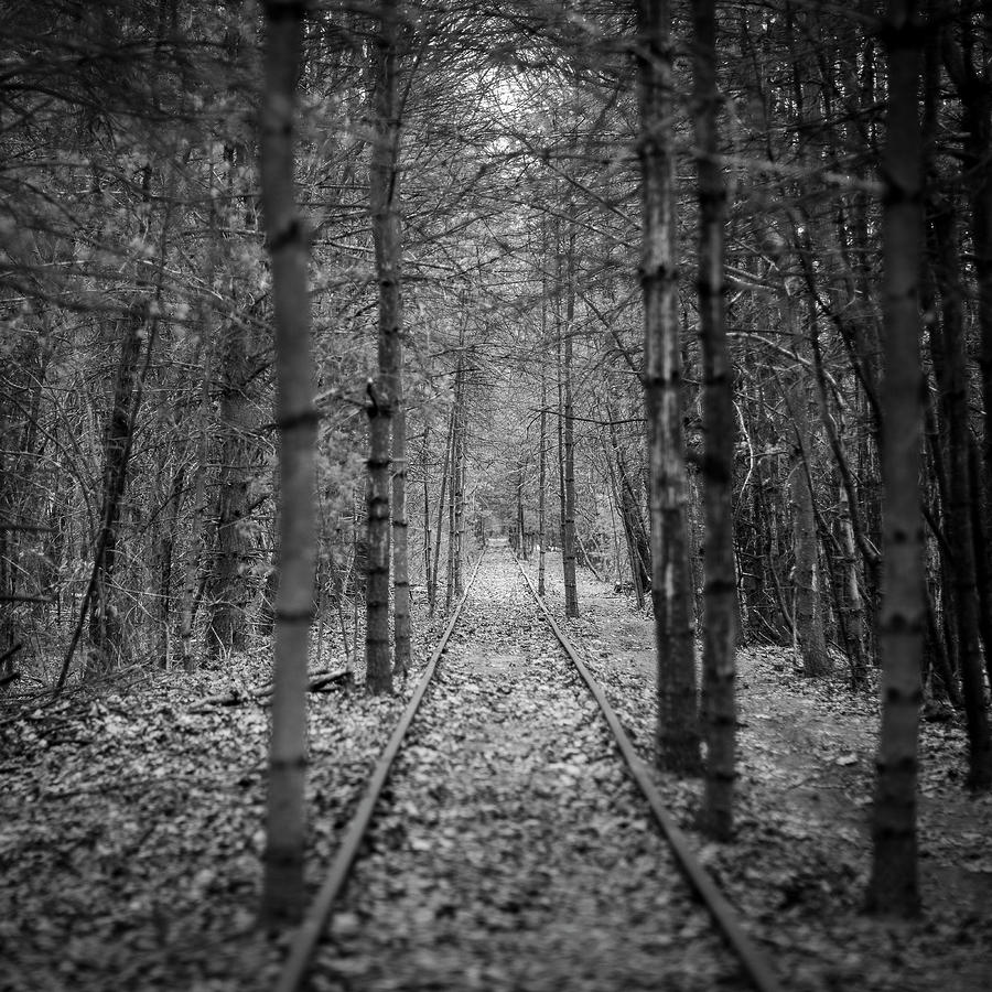 Tracks Photograph by George Pennington