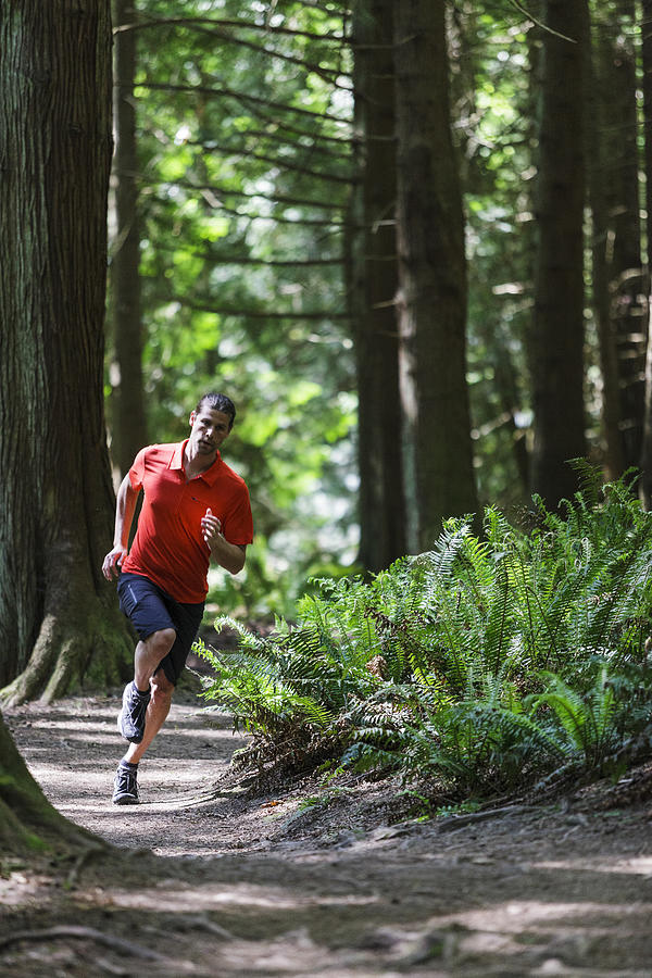 Trail running in evergreen forest #1 Photograph by Sawaya Photography