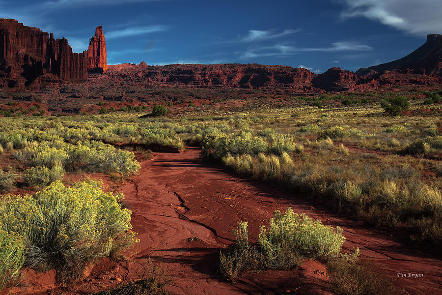 Desert Photograph - Trail to Fisher Towers #1 by Tim Bryan