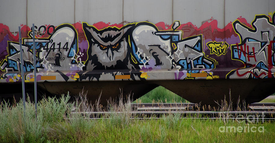 Train Graffiti Saskatchewan #2 Photograph by Bob Christopher