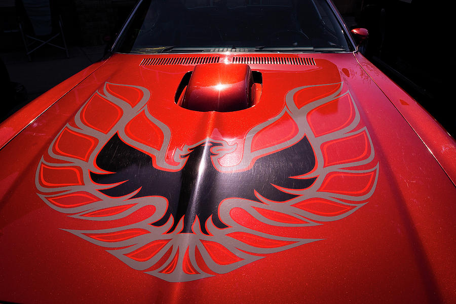 Transportation Photograph - Trans Am #1 by Phil And Karen Rispin