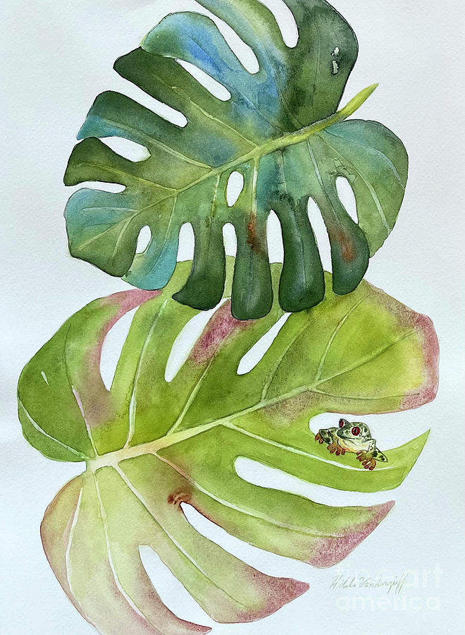 Tree Frog on Monstera Leaf #1 Painting by Hilda Vandergriff