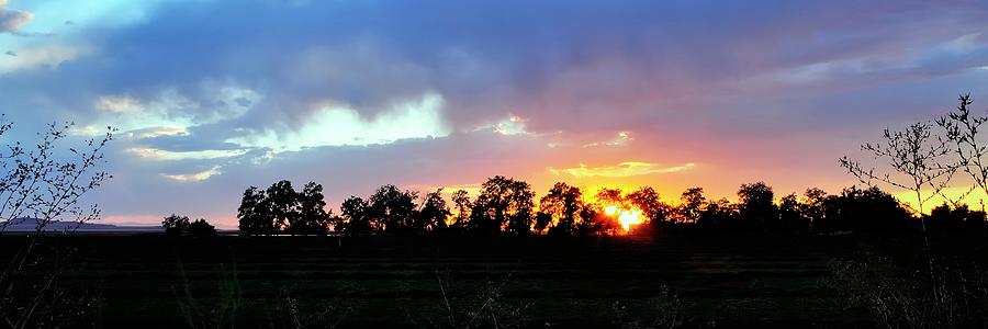 Tree Line Sunset Fall by Jerry Sodorff Tree Line Sunset Fall by Jerry Sodorff