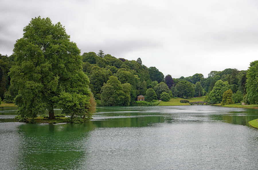 Landscape Photograph - Tree on an island in the lake in Warminster Wiltshire England UK #1 by John Gilham Landscape Photograph - Tree on an island in the lake in Warminster Wiltshire England UK #1 by John Gilham