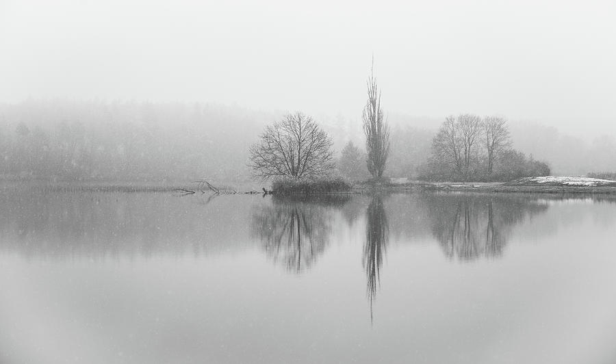 Tree Reflection On Winter Lake #1 Photograph by Martin Vorel Minimalist Photography