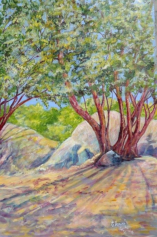 Tree Shadows Painting by Charme Curtin