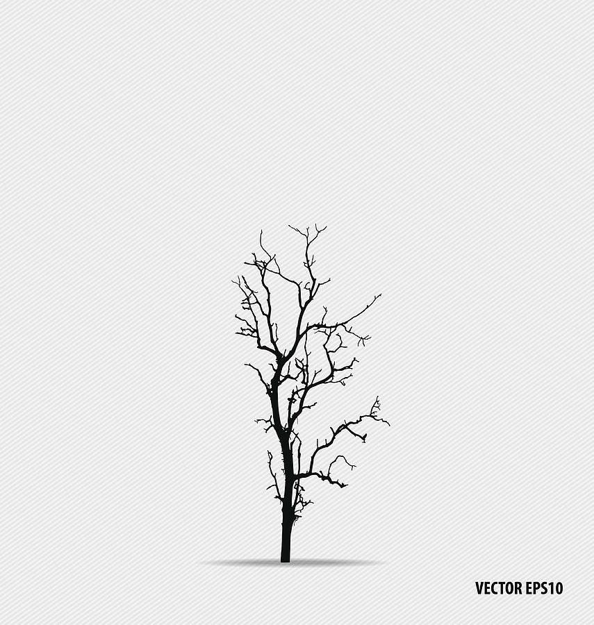 Tree silhouettes. Vector illustration. #1 Drawing by Jannoon028