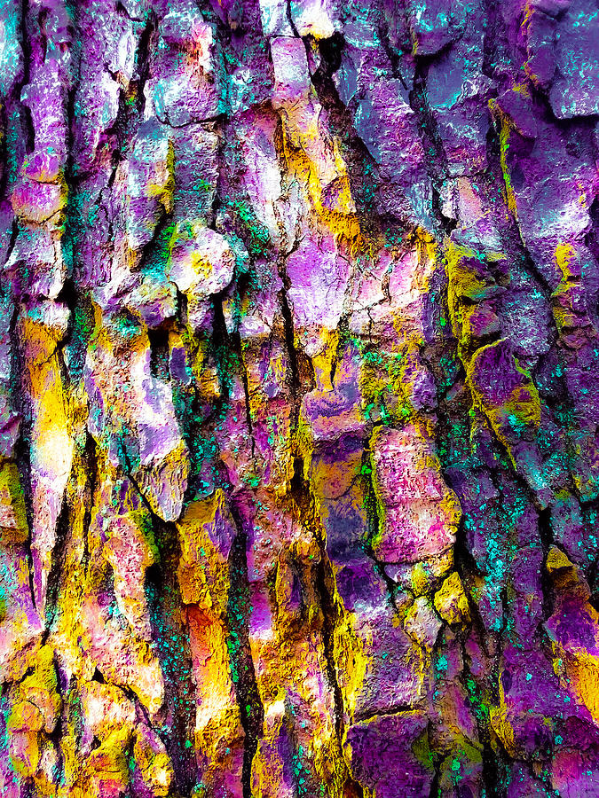 Tree trunk Digital Art by Terry Hi