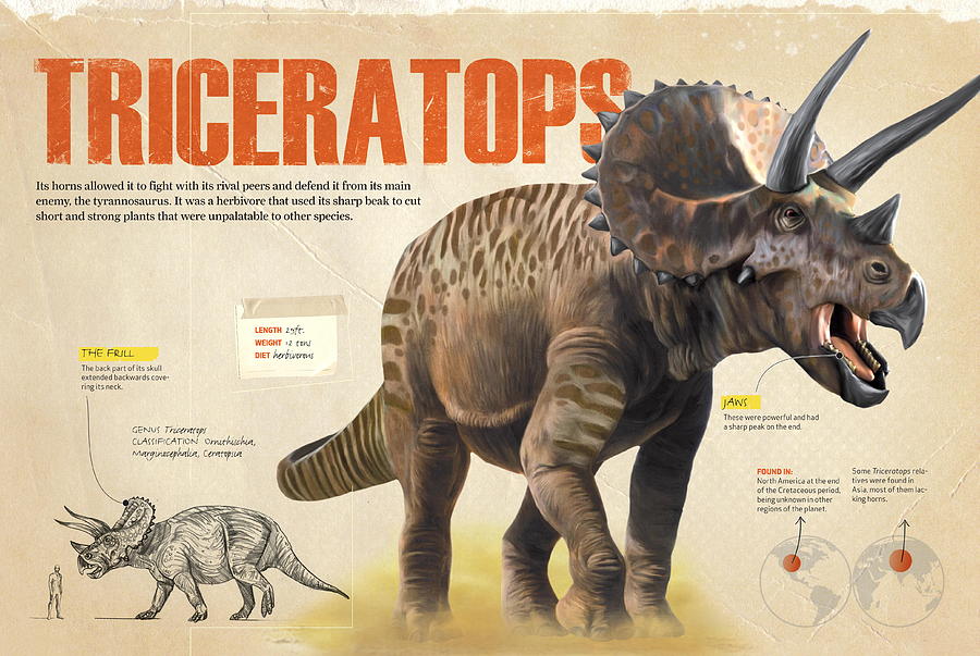 Triceratops #1 Digital Art by Album