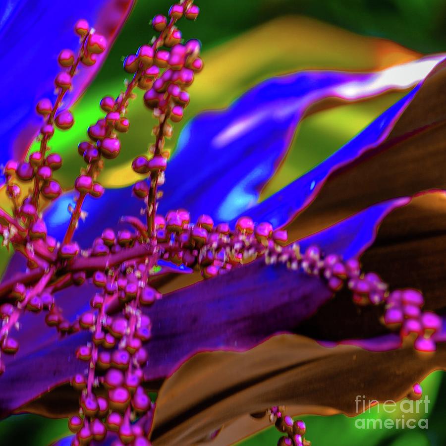 Abstract Photograph - Tropic Ti Leaves #1 by D Davila