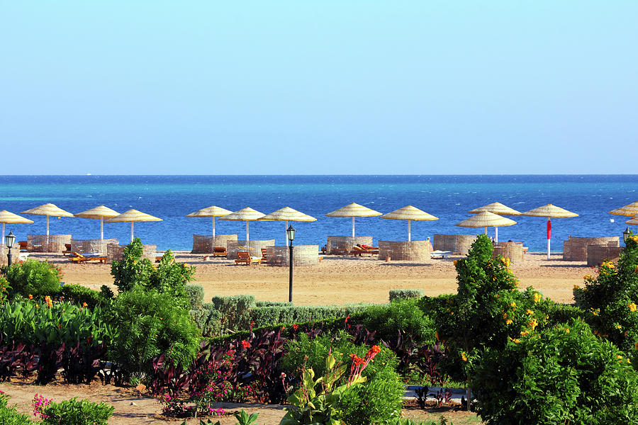 tropical beach and Red Sea #1 Photograph by Mikhail Kokhanchikov