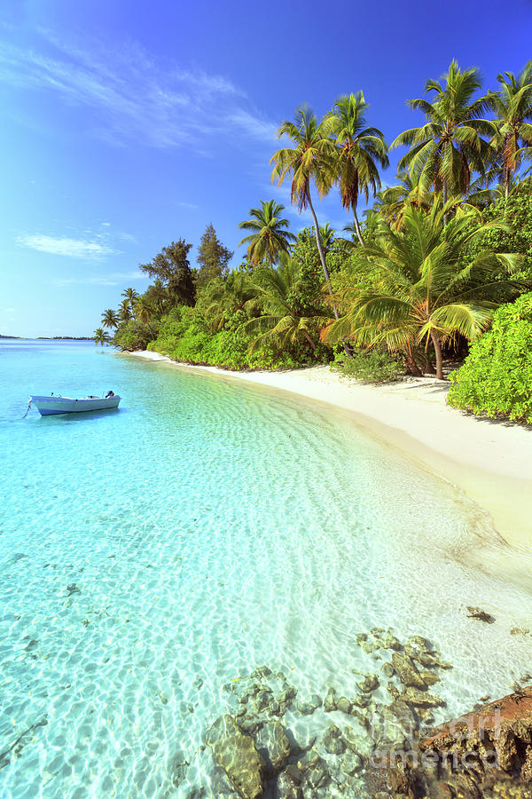 Tropical beach, Maldives #1 Photograph by Matteo Colombo - Fine Art America