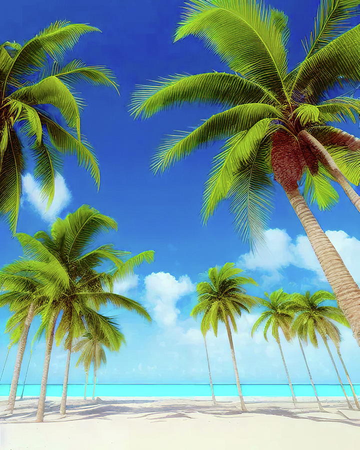 Tropical Palm Trees Digital Art by Anthony Dezenzio - Fine Art America