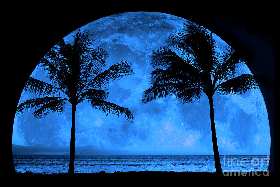 Tropical Palm Trees Silhouette Moon Light #1 Photograph by Lane Erickson