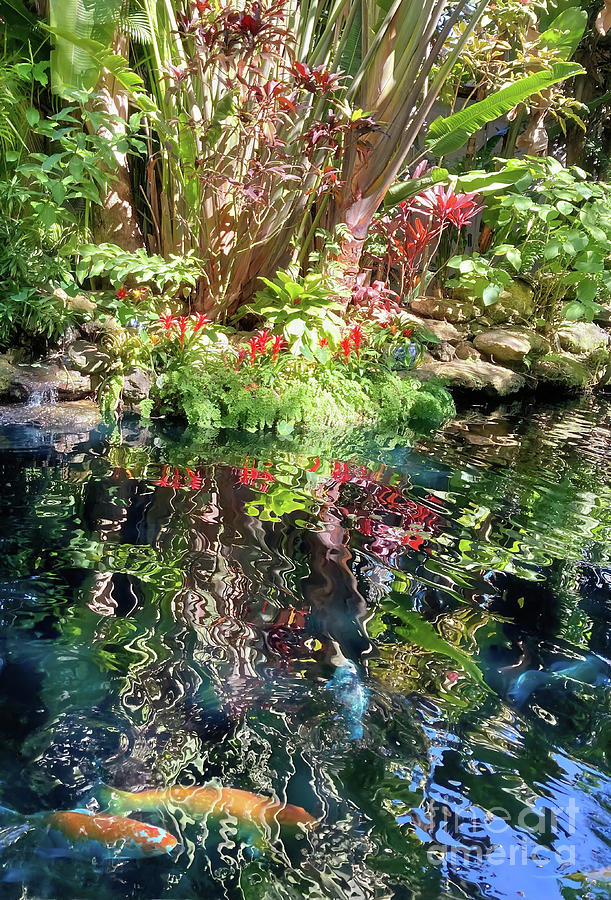 Tropical Reflections #1 Photograph by Mindy Newman