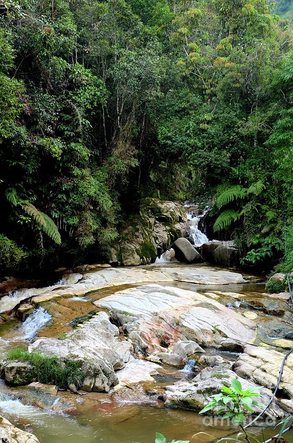 Tropical waterfall through forest jungle Cameron Highlands Malaysia #4 Photograph by Imran Ahmed
