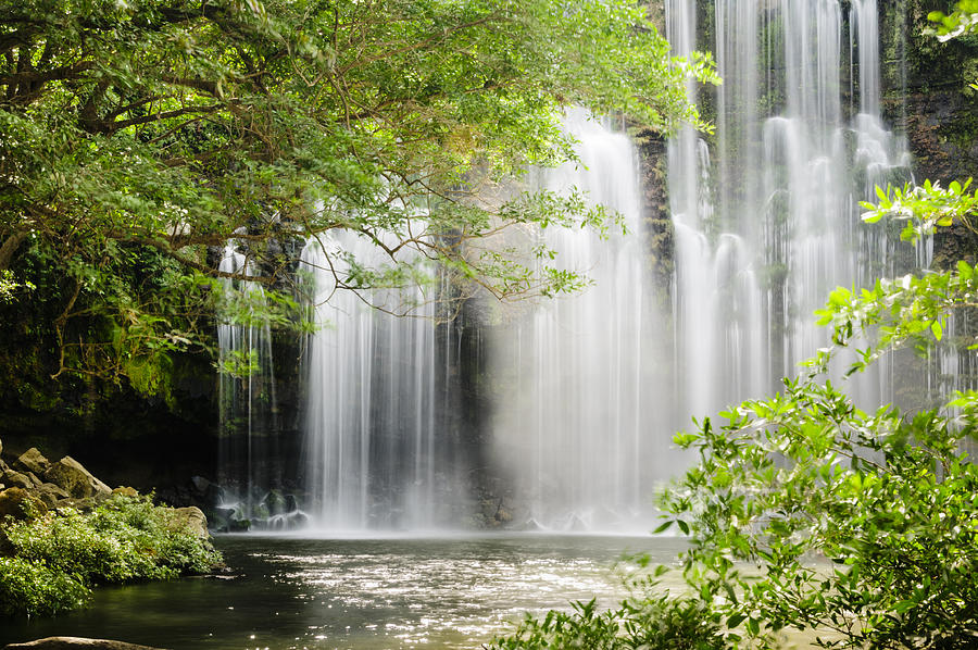 Tropical waterfall with backlit leaves #1 Photograph by OGphoto