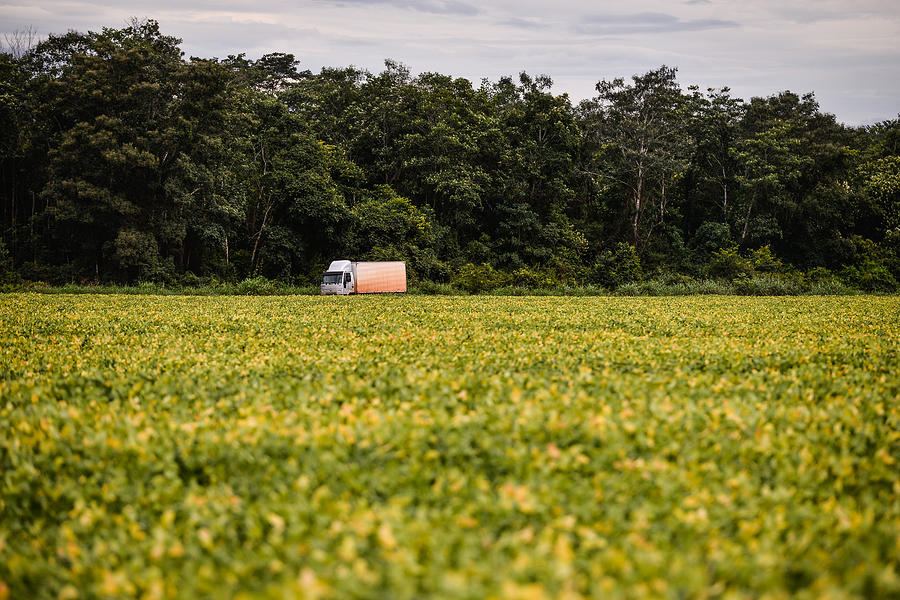 Truck traveling in the middle of a soybean plantation. #1 Photograph by Lucas Ninno