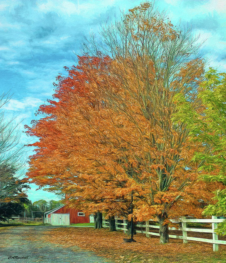 Autumn Farm Lane Photograph by Carol Randall