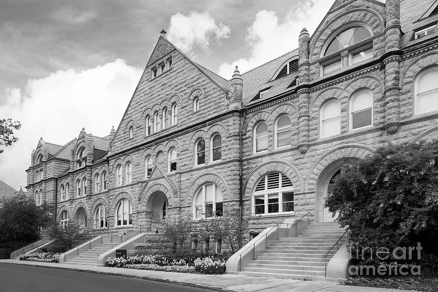 Tulane University Gibson Hall #1 Photograph by University Icons