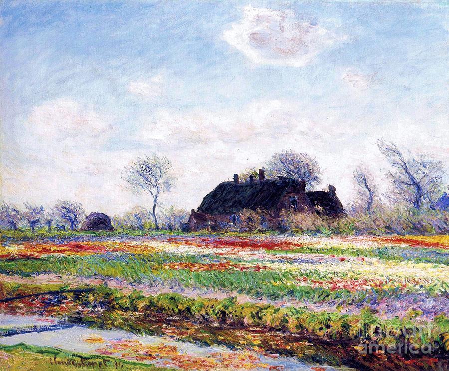Tulip Fields at Sassenheim, near Leiden 1886 #1 Painting by Claude Monet