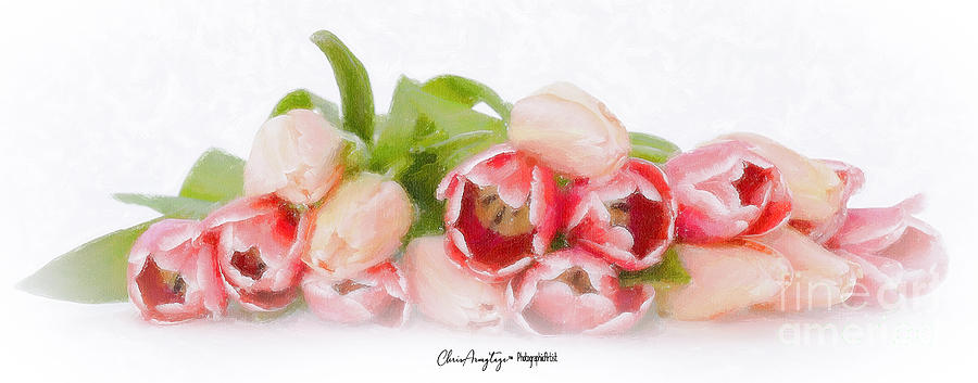 Tulips #2 Drawing by Chris Armytage