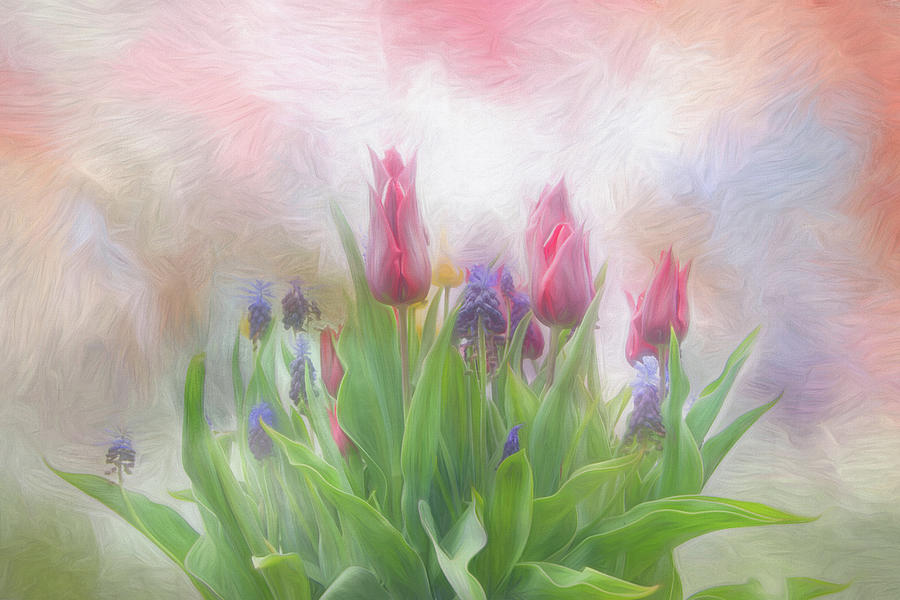 Tulip series A, number 1 Digital Art by Marilyn Wilson