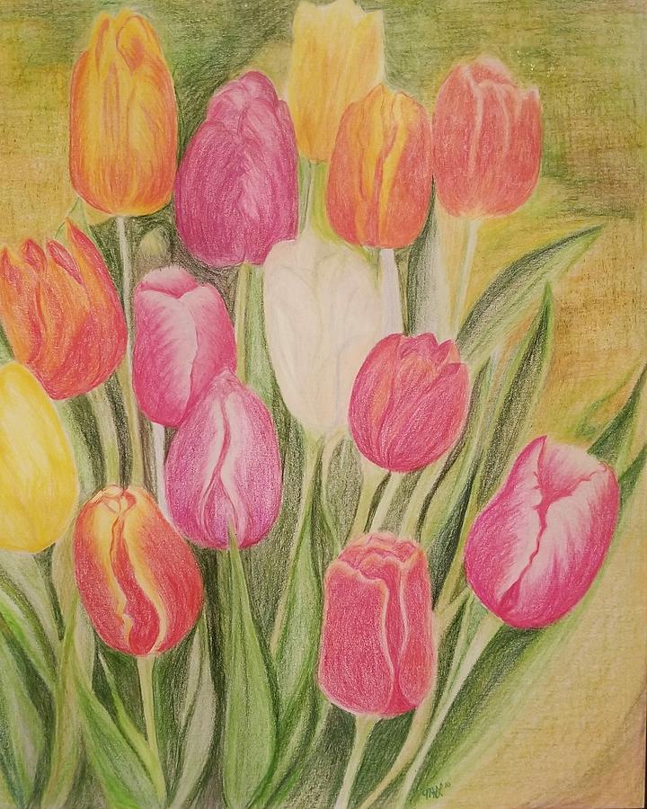 Tulips #1 Drawing by Monica Habib