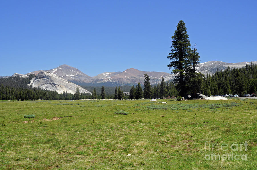 Tuolumne Meadows #1 Photograph by Cindy Murphy