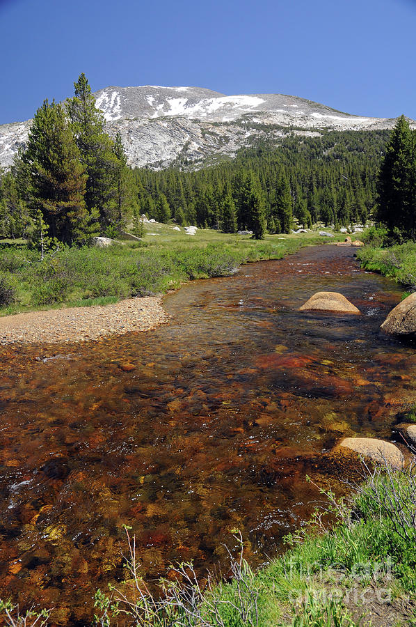 Tuolumne River #1 Photograph by Cindy Murphy