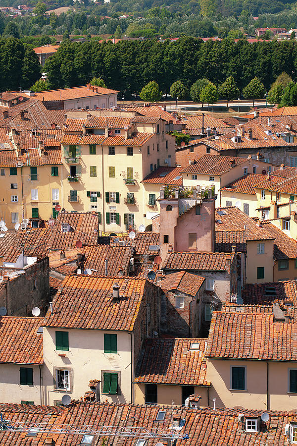 Tuscan Tranquility - Over the Roofs of Lucca, July 2015 #1 Photograph by Benoit Bruchez