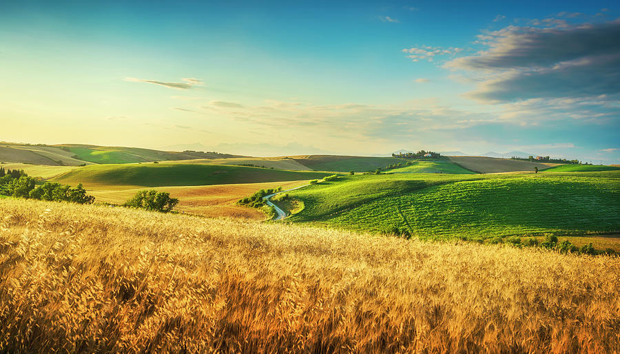 Tuscany countryside panorama, rolling hills and wheat fields at  #1 Photograph by Stefano Orazzini