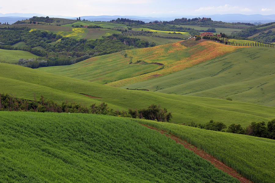 Tuscany farmland hill fields in Italy #1 Photograph by Mikhail Kokhanchikov