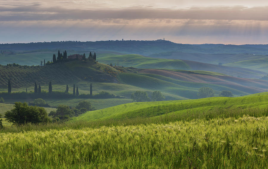 Tuscany landscape at sunrise in Italy #1 Photograph by Mikhail Kokhanchikov