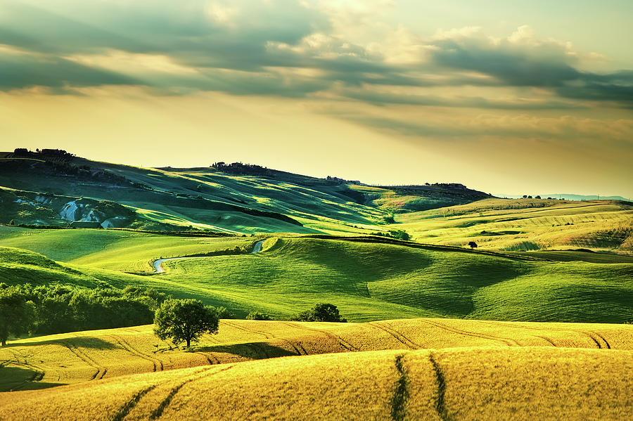 Tuscany spring, rolling hills on sunset. Volterra rural landscap #1 Photograph by Stefano Orazzini