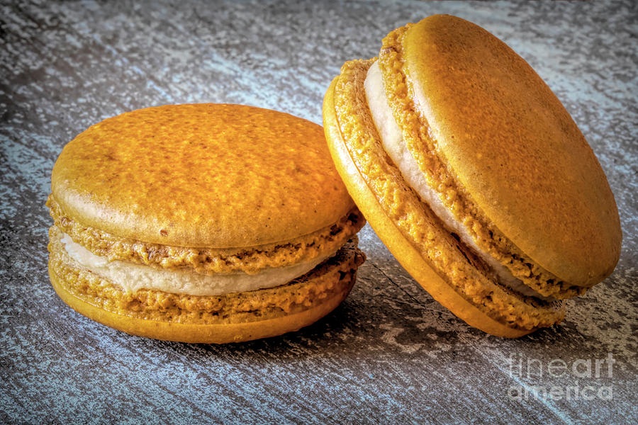 Cookie Photograph - Two Pumpkin Spice Macarons #1 by Elisabeth Lucas