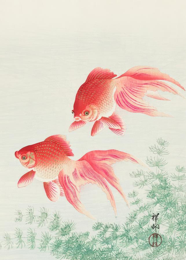 Ohara Koson Painting - Two veil goldfish #2 by Ohara Koson