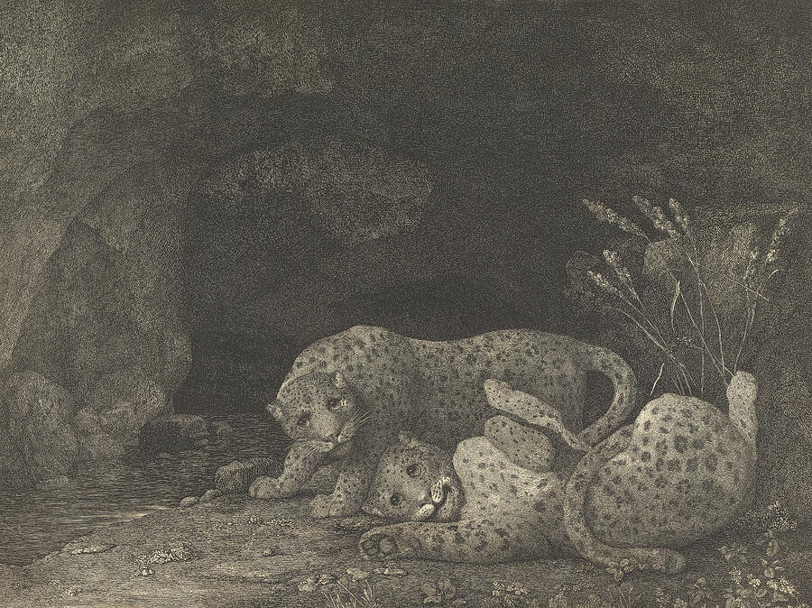 Tygers at Play, from 1780 Relief by George Stubbs