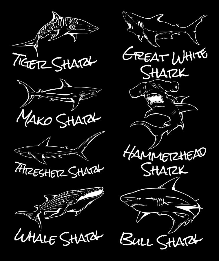 Great White Shark Digital Art - Types of Sharks Cool Shark #1 by Kevin Garbes