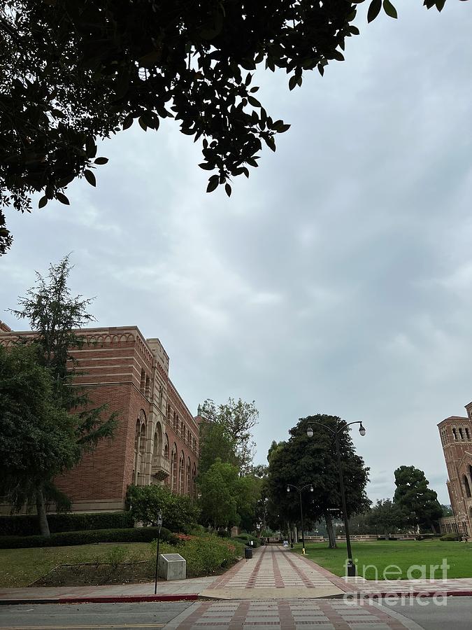 Ucla Kaplan Hall Royce Hall Dickson Plaza 2022 Photograph by John ...