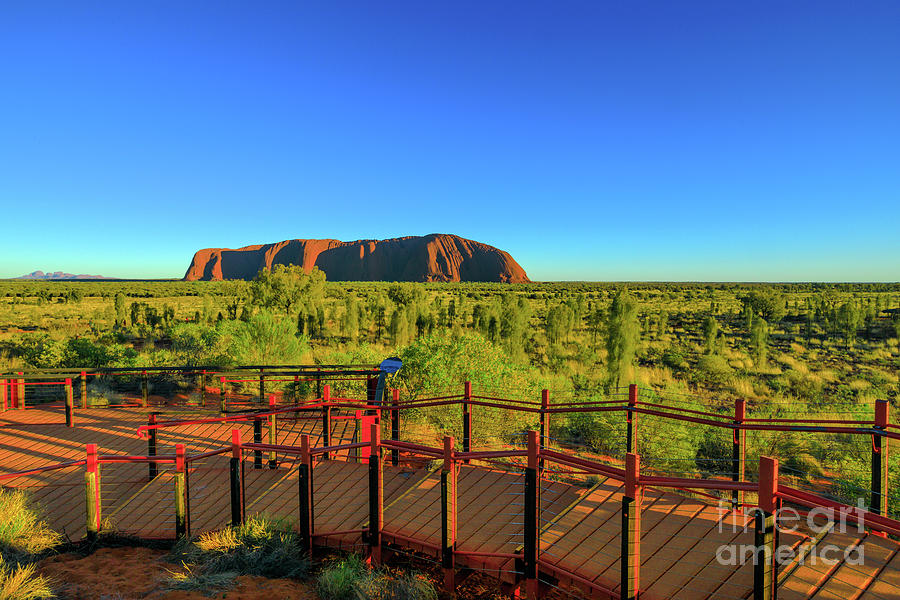 Uluru and Kata Tjuta viewpoint #1 Photograph by Benny Marty