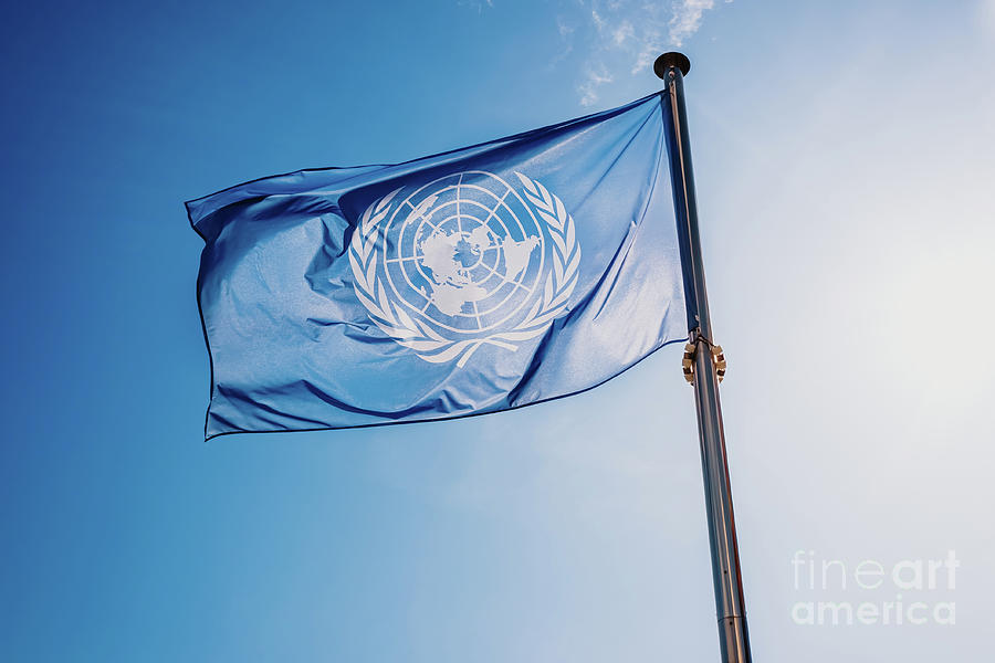 UN flag waved against the sun and blue sky. #1 Photograph by Joaquin Corbalan